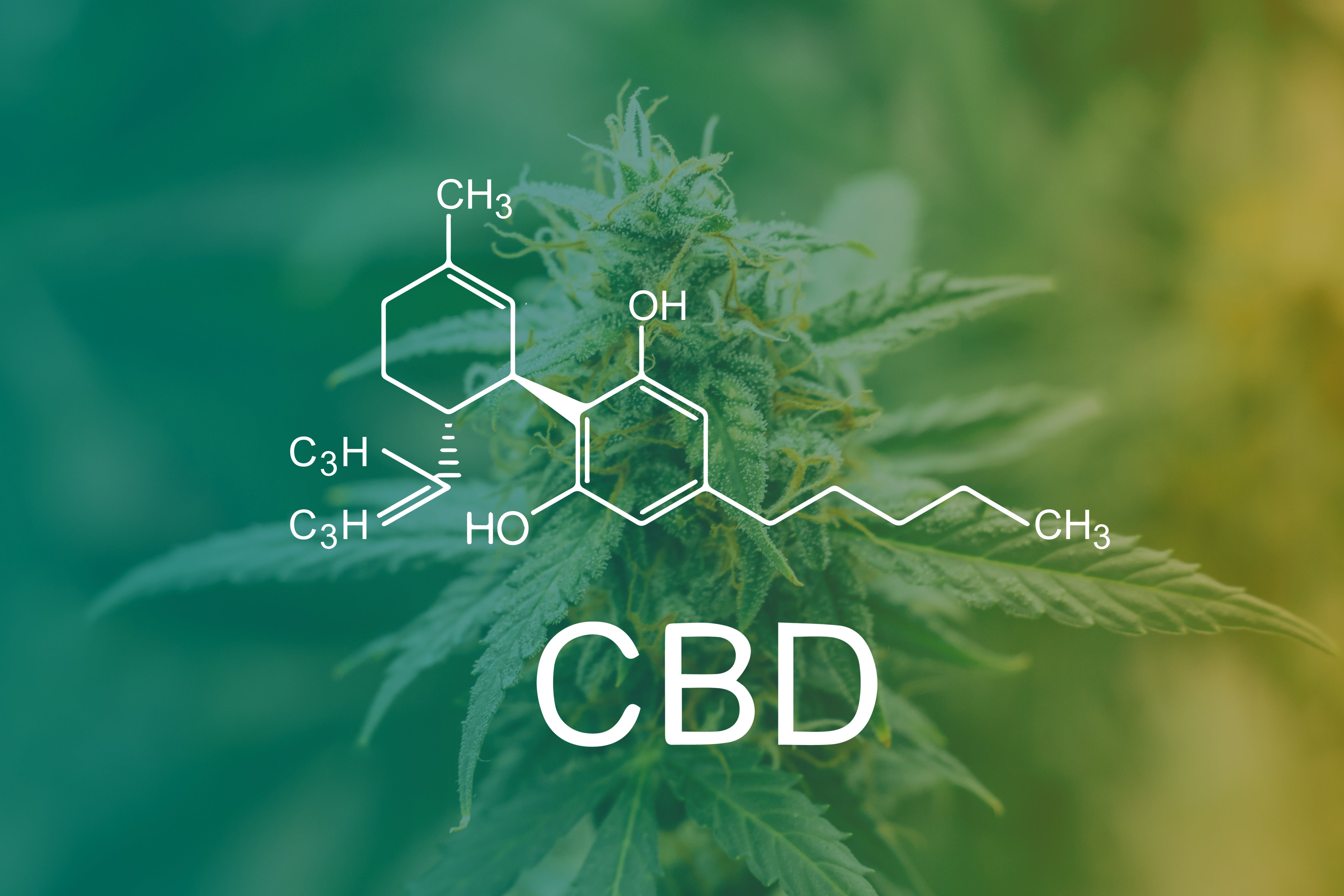 The Future of CBD: What to Expect in the Coming Years