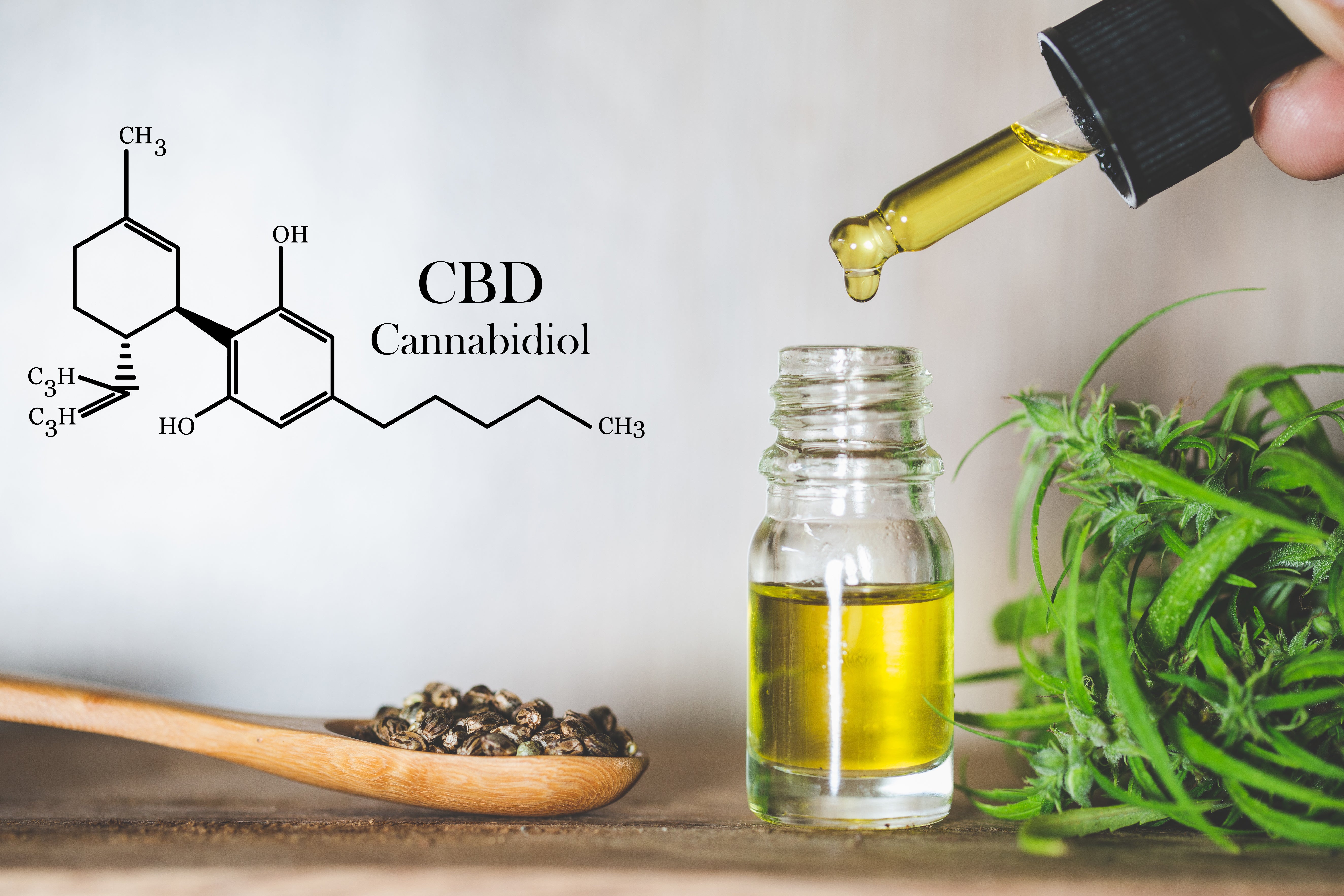 CBD Glossary: A Comprehensive Guide to Key Terms in the World of Cannabidiol
