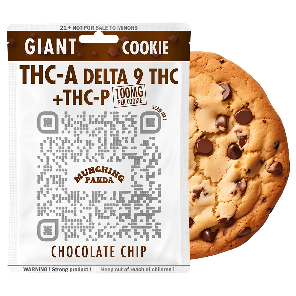 Munching Panda - Giant Cookie 100mg delta 9 THC + THC-P + THC-A Edibles Munching Panda Chocolate Chip