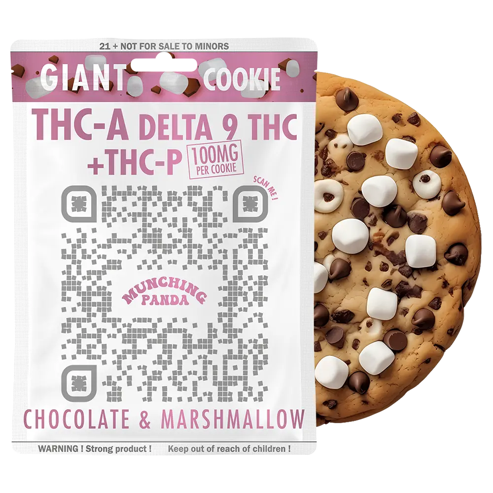 Munching Panda - Giant Cookie 100mg delta 9 THC + THC-P + THC-A Edibles Munching Panda Chocolate & Marshmallow  